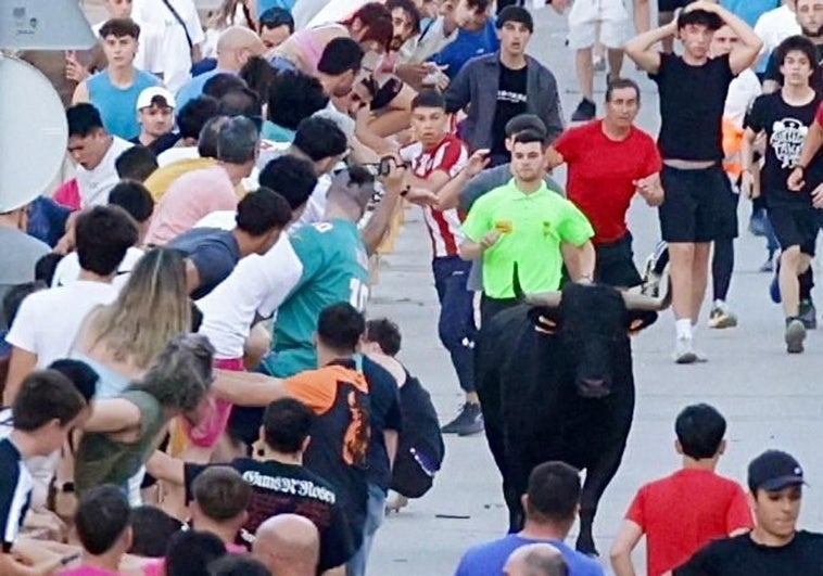 Un menor recibe una cornada en la mandíbula en la suelta del Toro de las Peñas de Zaratán